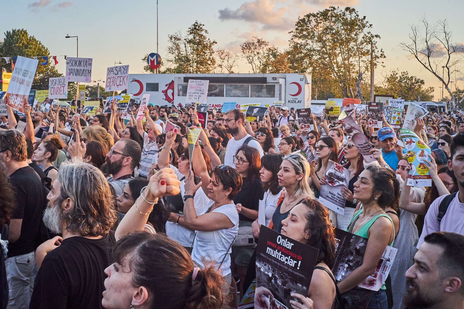 Binlerce yaşam hakkı savunucusu İstanbul Kadıköy'de katliam yasasını protesto etti