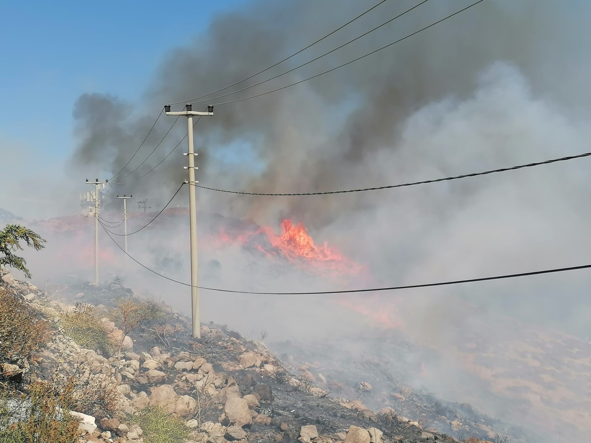 Bodrum'da korkutan yangın