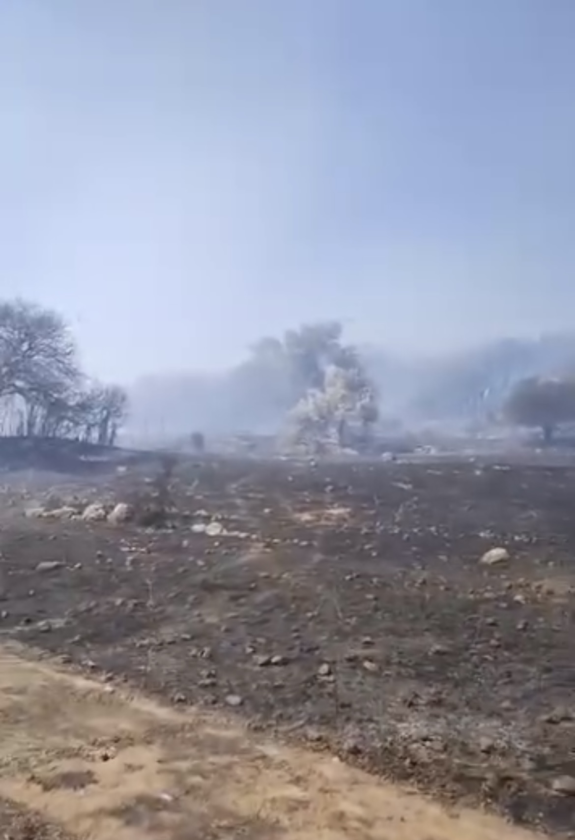 İslamhaneleri’nde çıkan yangın, barınaklara ve iş yerlerine kadar ulaştı!