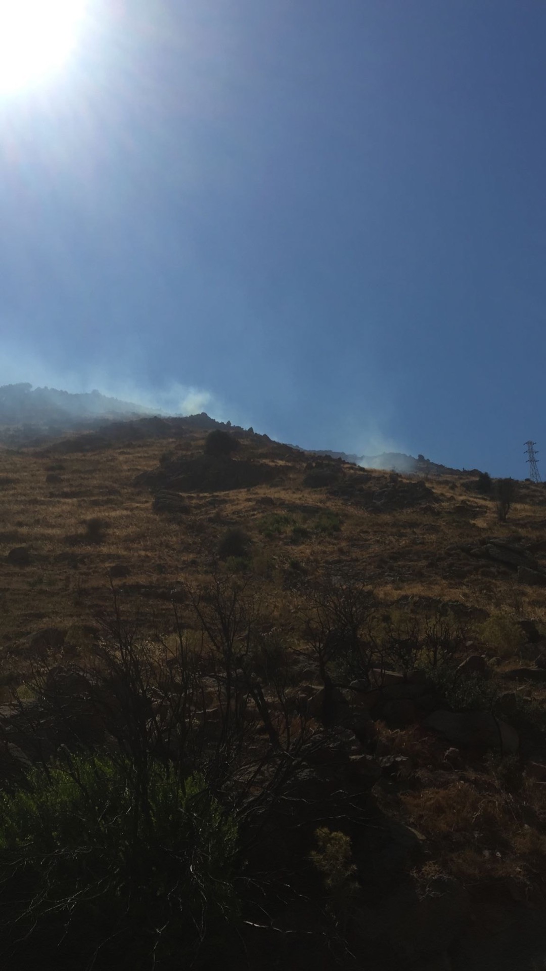 Bodrum’da otluk - makilik alanda çıkan yangında 3 hektar, kül oldu! 