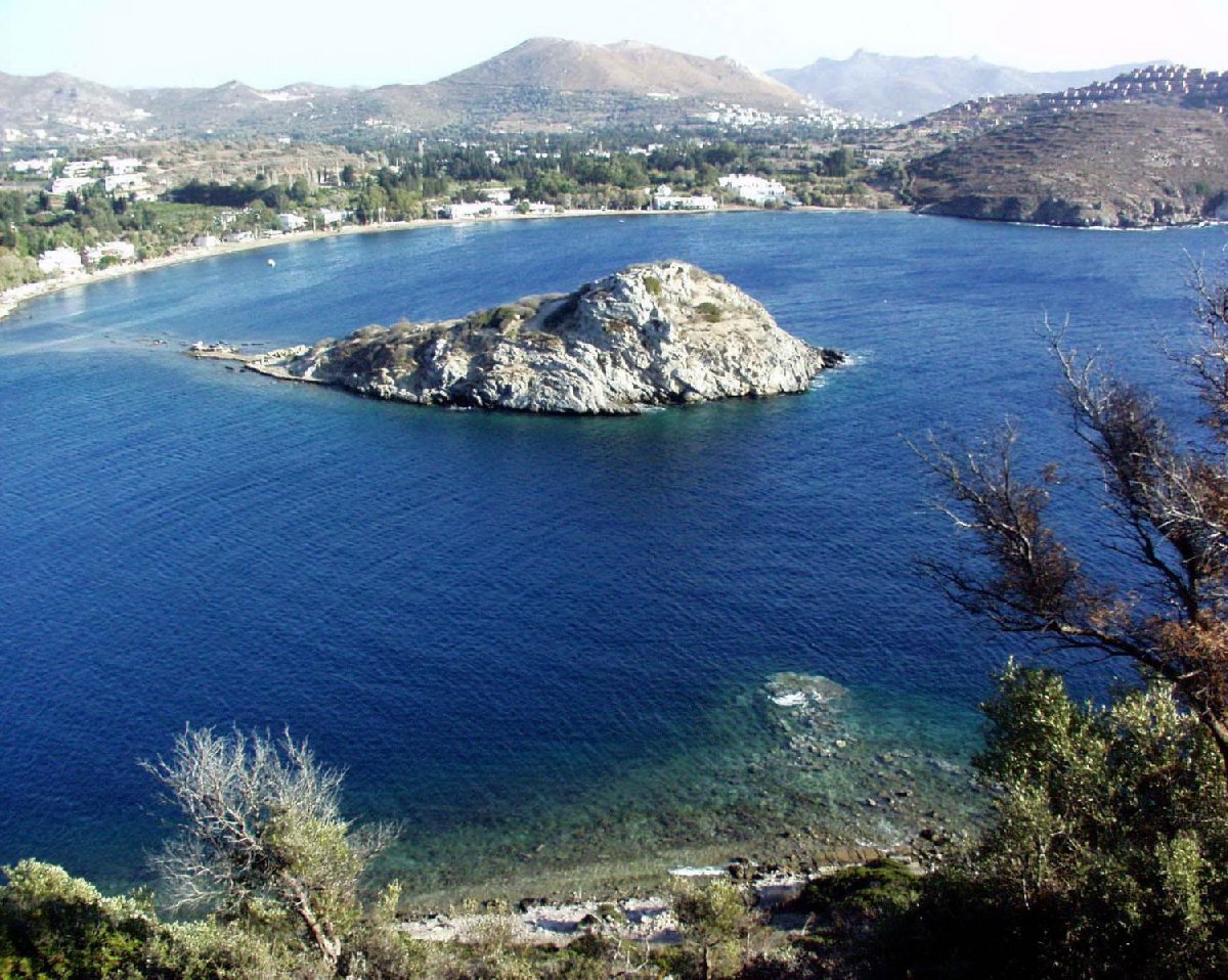 Gümüşlük ve Koyunbaba Plajlarının çığlığı! 