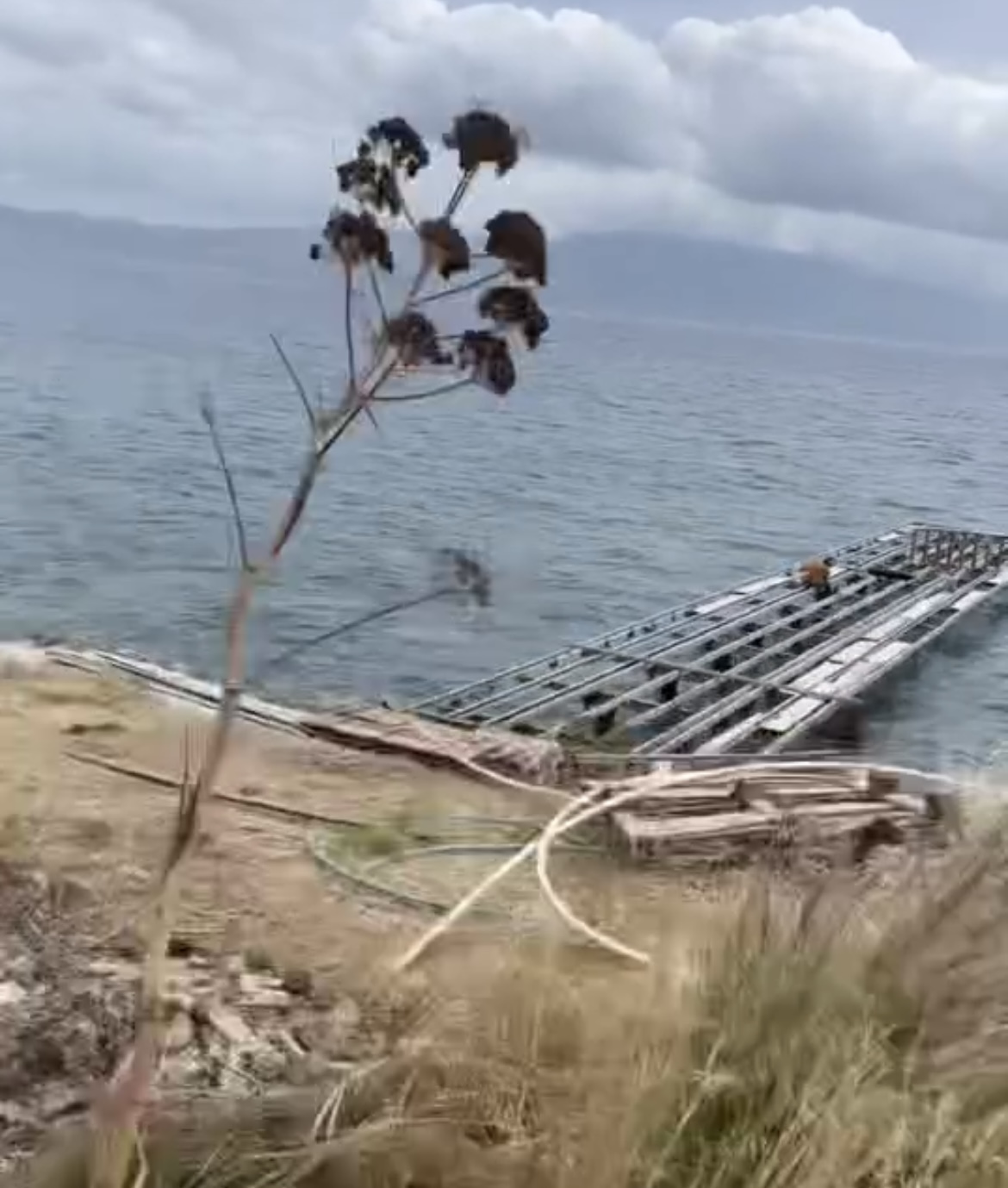 Bodrum’da yaza az kala ‘Mermer Tozu’ krizi başladı!