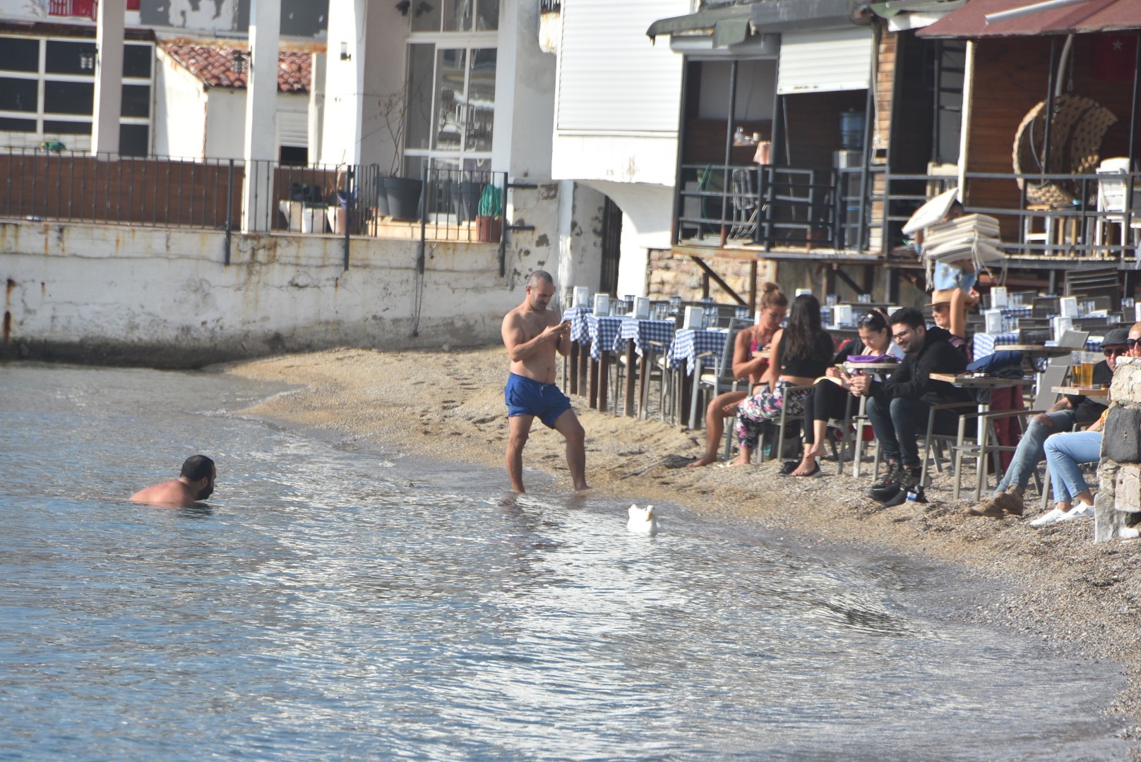 Doğuda kış, Bodrum’da deniz keyfi