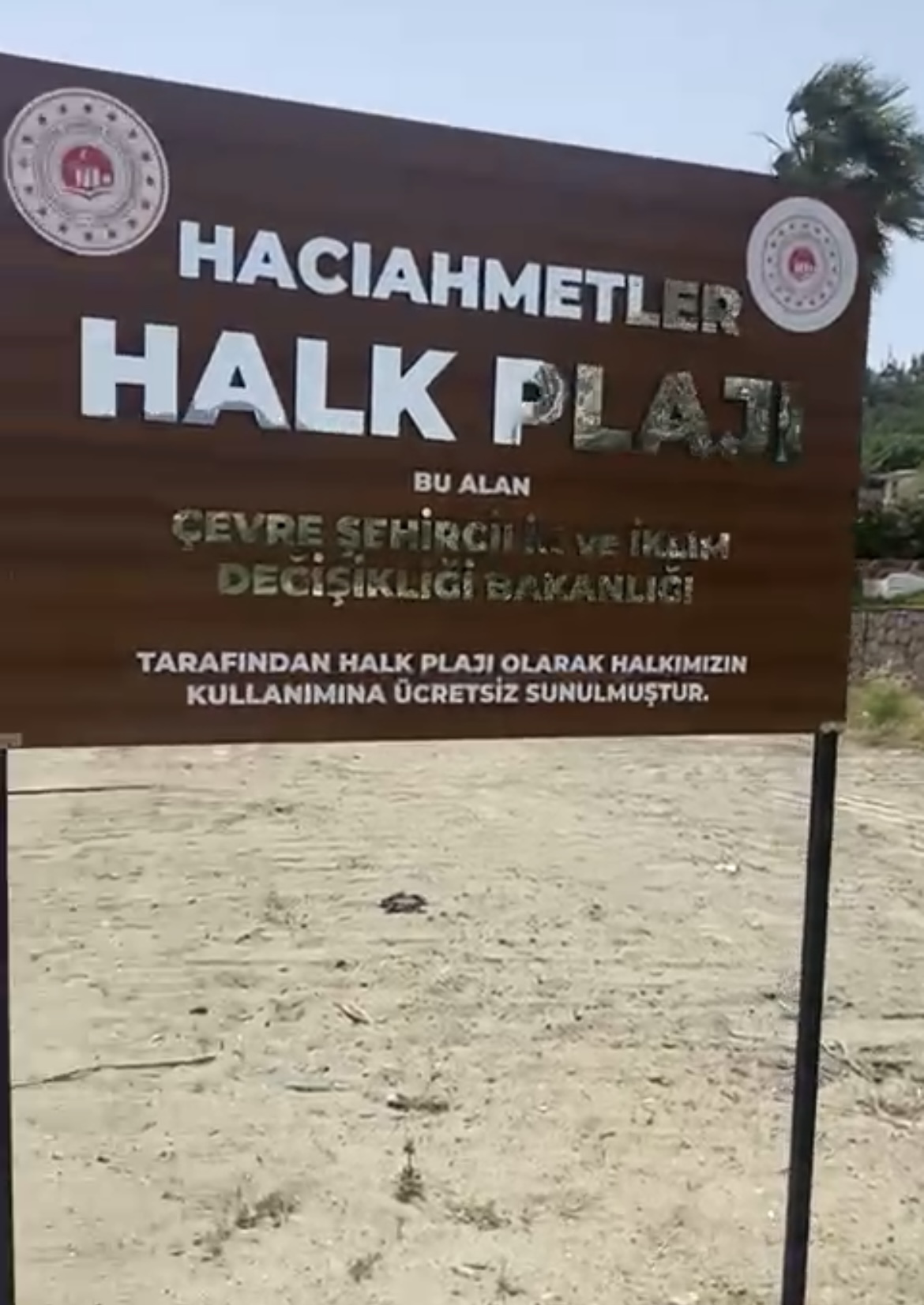Gecekondu Plaj, Bitez’de tehlike saçtı!