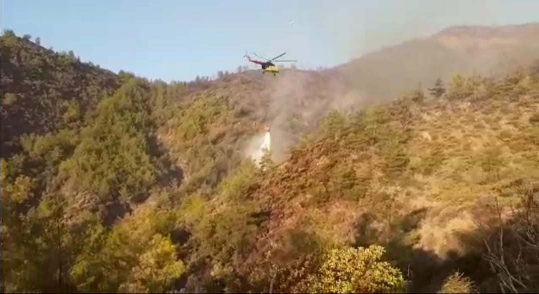 Bakan Kirişci; ‘Marmaris’teki yangında 500 hektar alan zarar gördü’