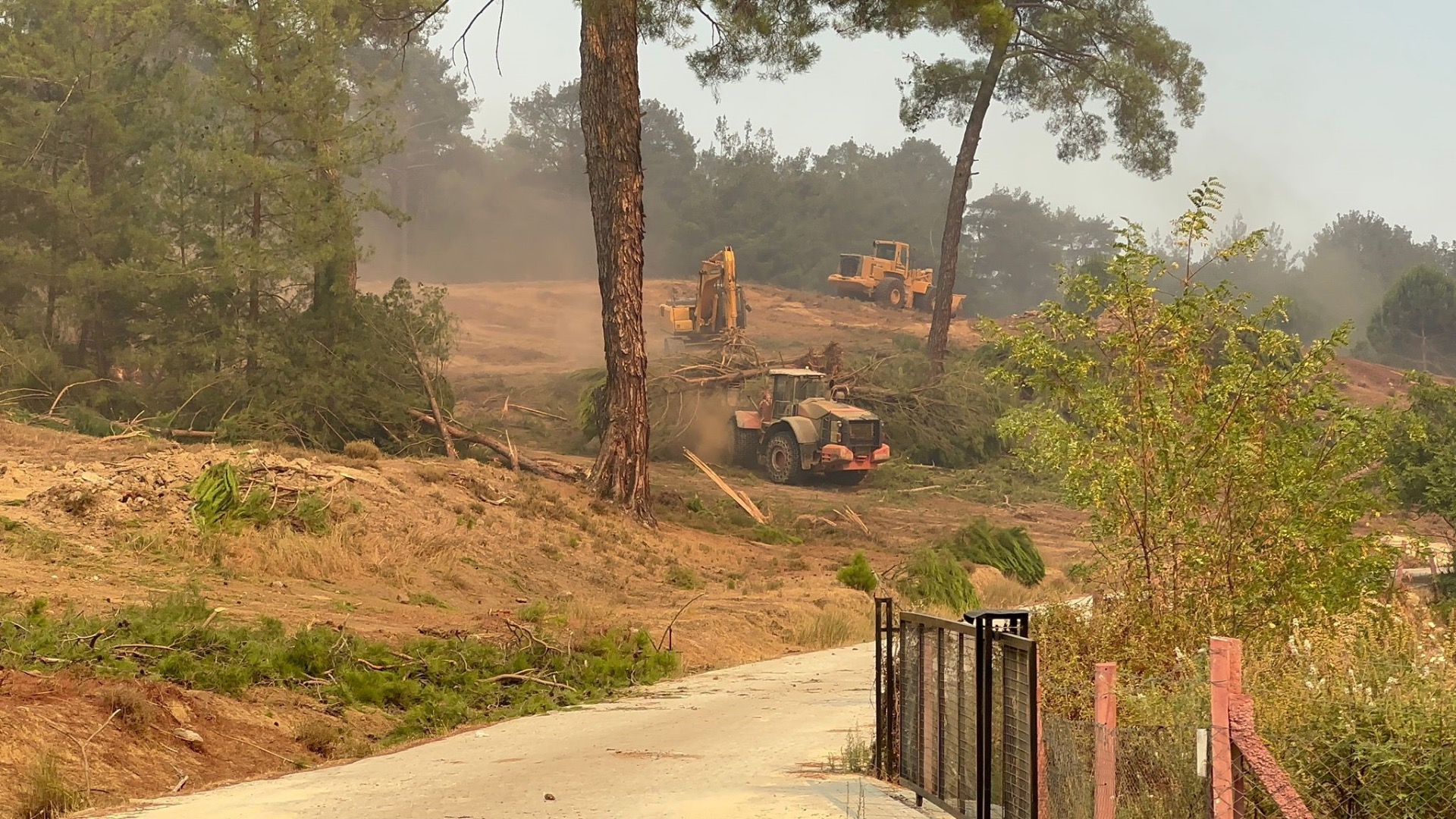 Aydın’daki orman yangını Muğla’ya sıçradı 