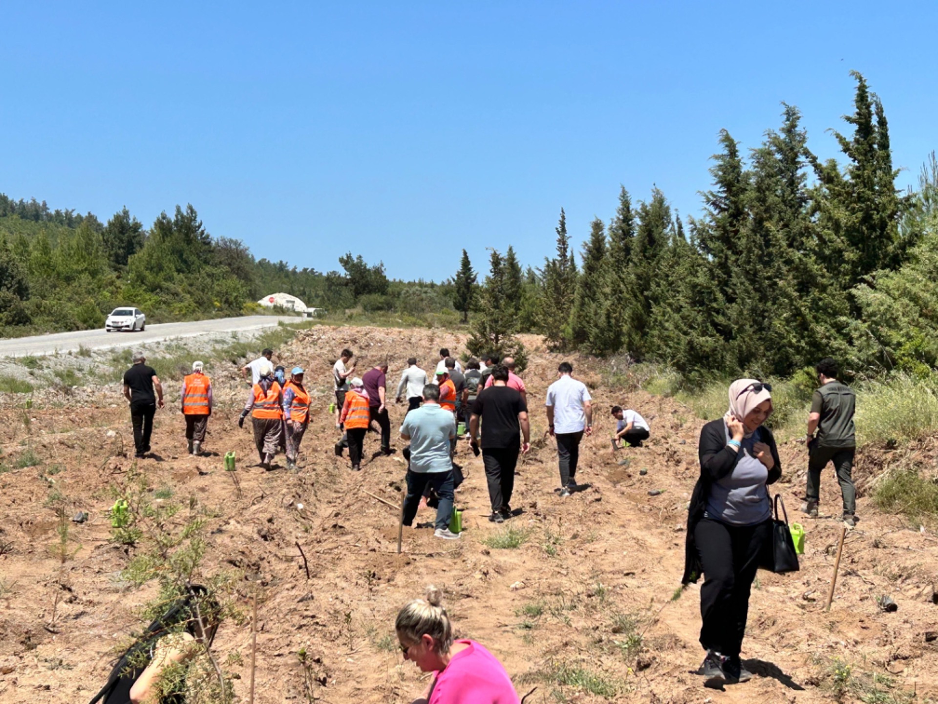 Bodrum’da fidanlar anneler için kök saldı