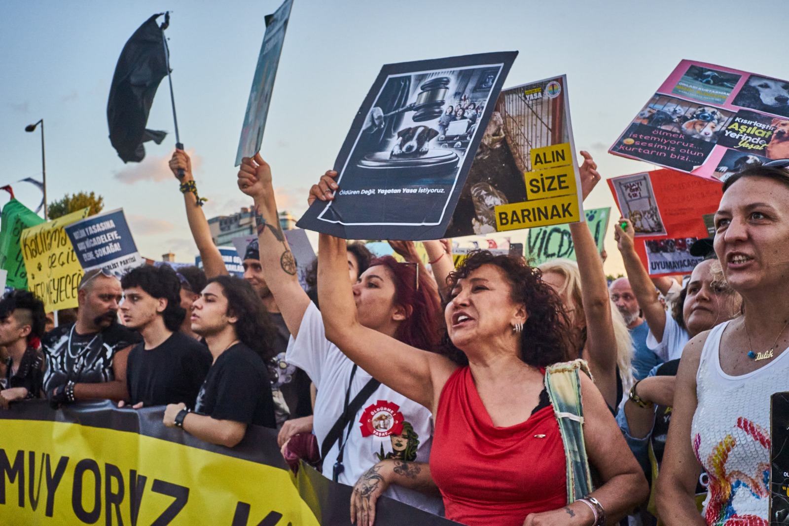 Binlerce yaşam hakkı savunucusu İstanbul Kadıköy'de katliam yasasını protesto etti