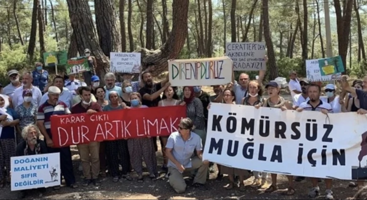 Zeytinde skandal karar!