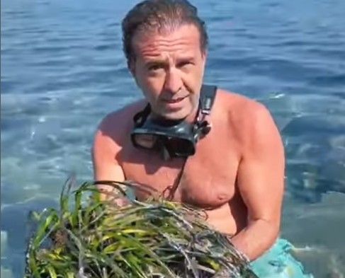 Akdeniz’in Akciğerleri Alarmda: Bodrum’da Deniz Çayırları Yok Oluyor