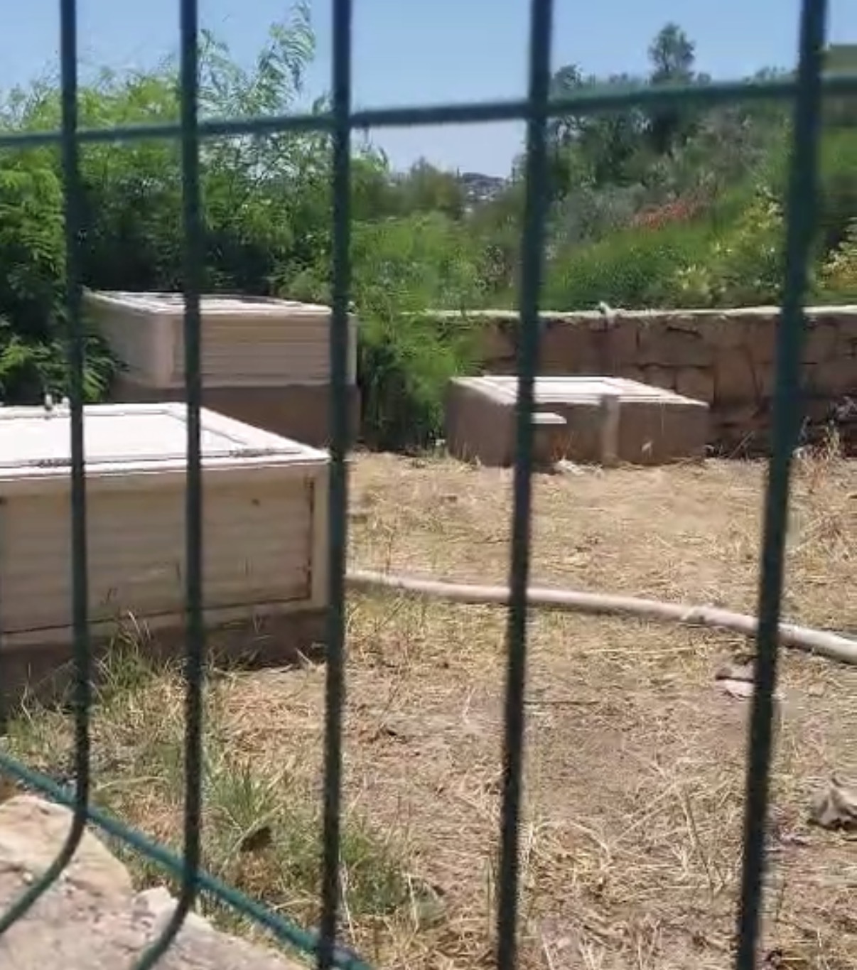 Bitez’de bir tatil kulübünün arıtma suyunu caddeye salması tepki çekti 