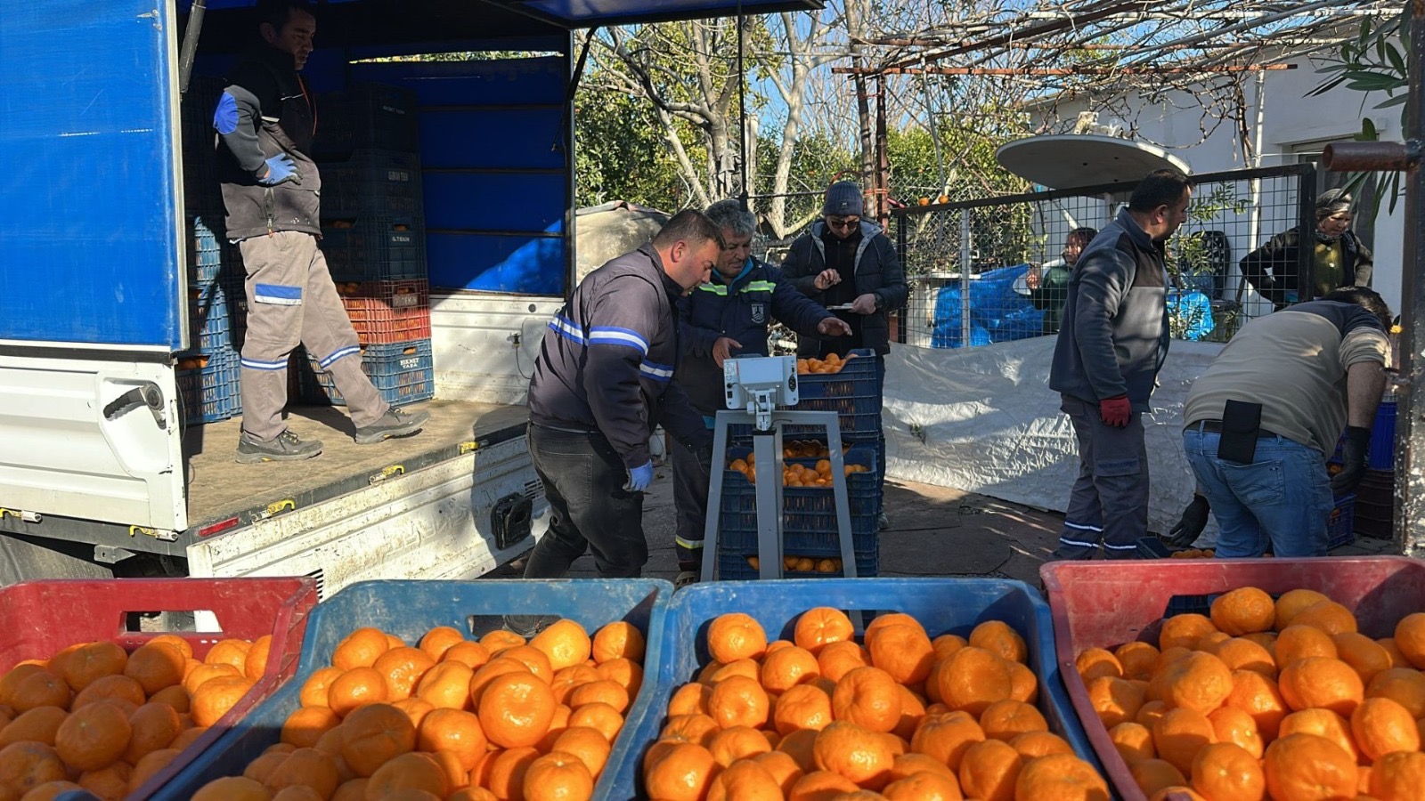Bodrum Mandalini Türkiye’nin Dört Bir Yanına Ulaşıyor