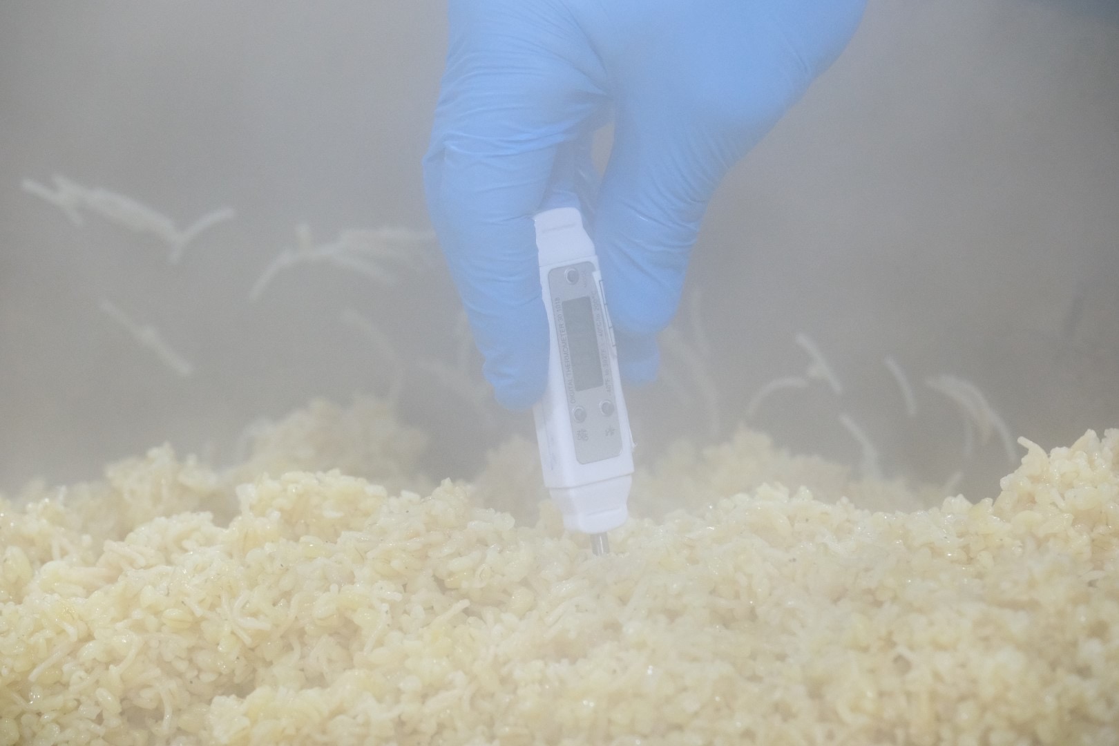 Bodrum Kent Lokantası’nda Bir Yılda 70 Bini Aşkın Yemek