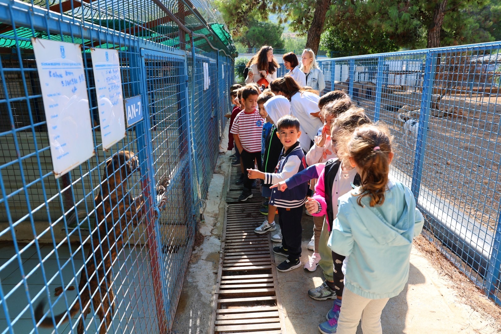Bodrum Belediyesi Sokaklardaki Dostlarının Yanında