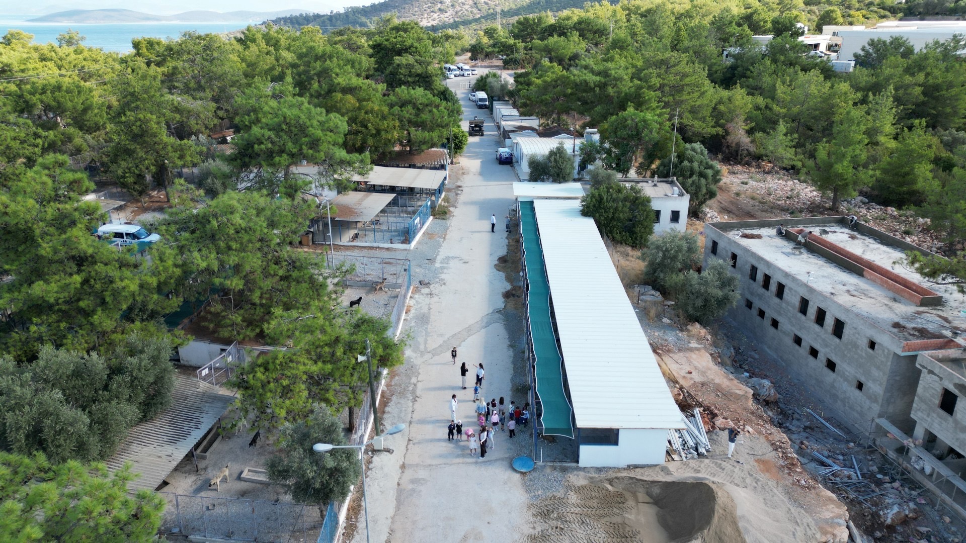 Bodrum Belediyesi Sokaklardaki Dostlarının Yanında