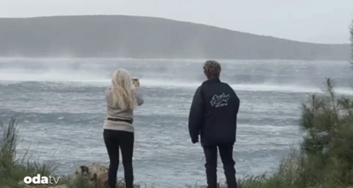 Bodrum'da ender doğa olayı