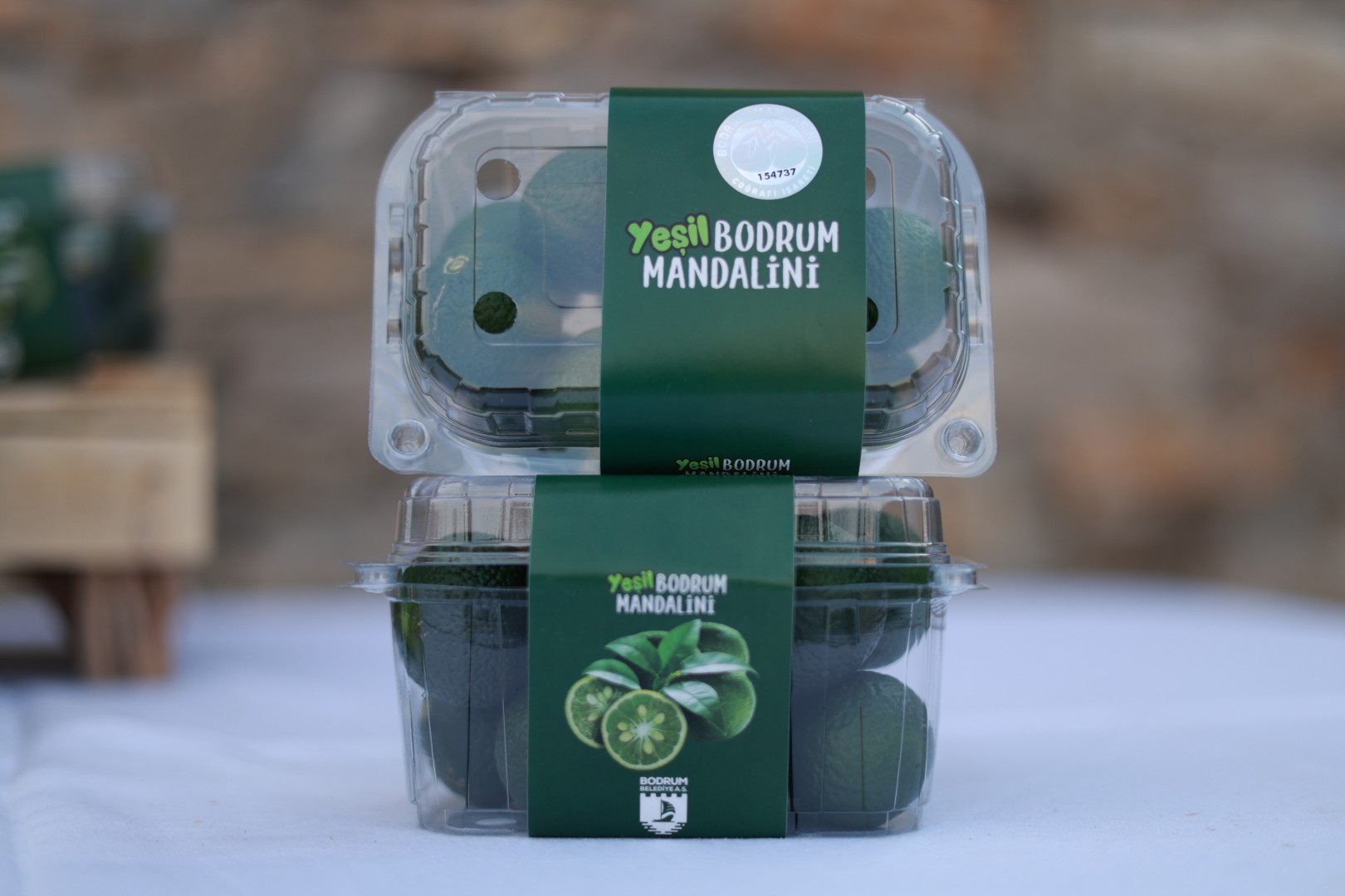 Yeşil Bodrum Mandalini Sektör Buluşması