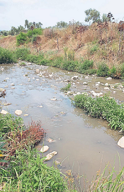 Muğla’da belediyeden ‘Çevre Katliamı!’