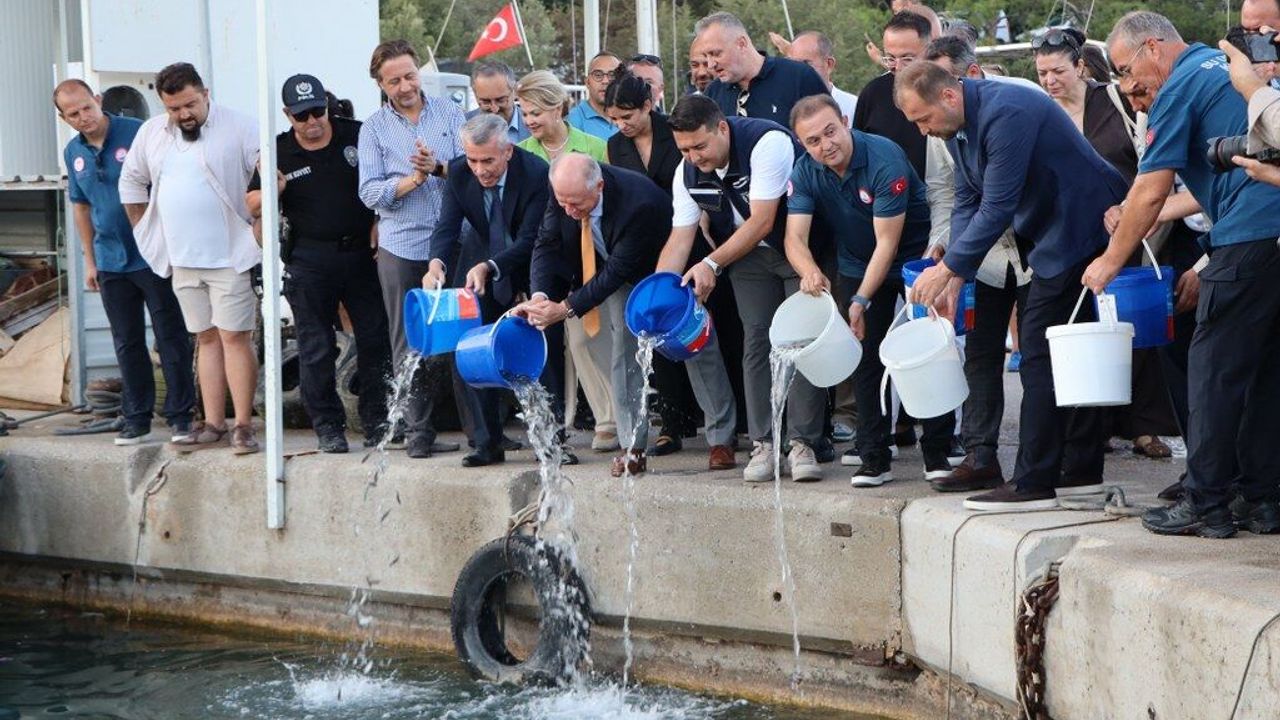 Balıkçılar aylar sonra yeniden denizde: Bodrum’da av sezonu başladı