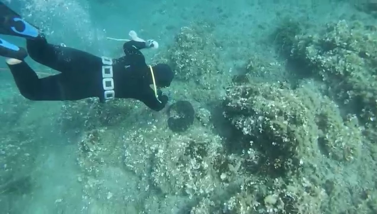 Sünger avcısı Totoz, dede mesleğini yaşatıyor 