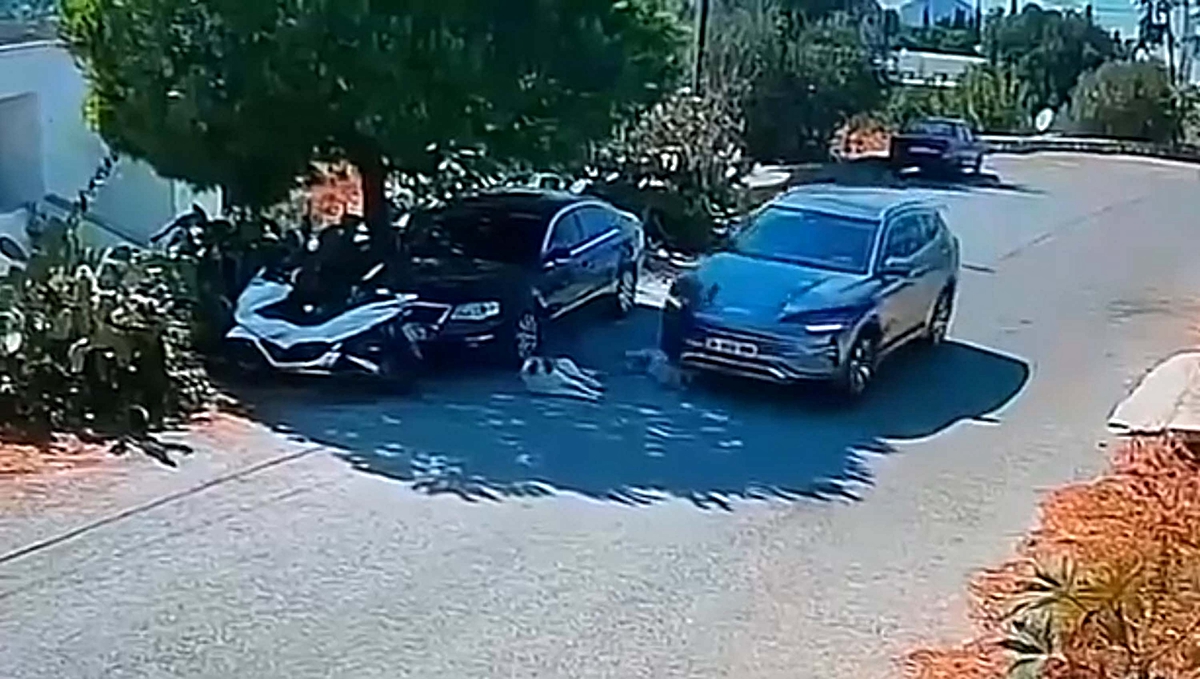 İki köpeğin üzerinden geçip kaçan sürücünün kimliği belirlendi! Köpeklerden 4 gündür haber yok