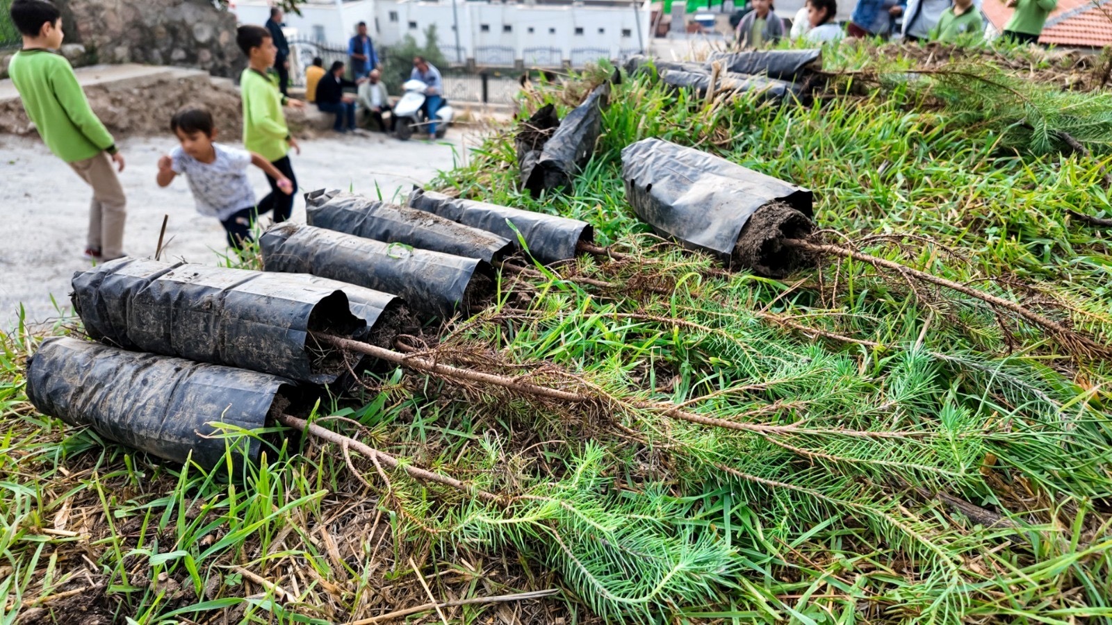 Bodrum Belediyesi'nden çocuklara doğa sevgisi aşılayan etkinlikler