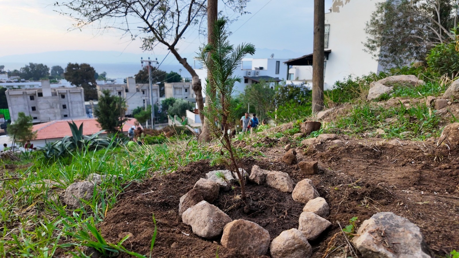 Bodrum Belediyesi'nden çocuklara doğa sevgisi aşılayan etkinlikler