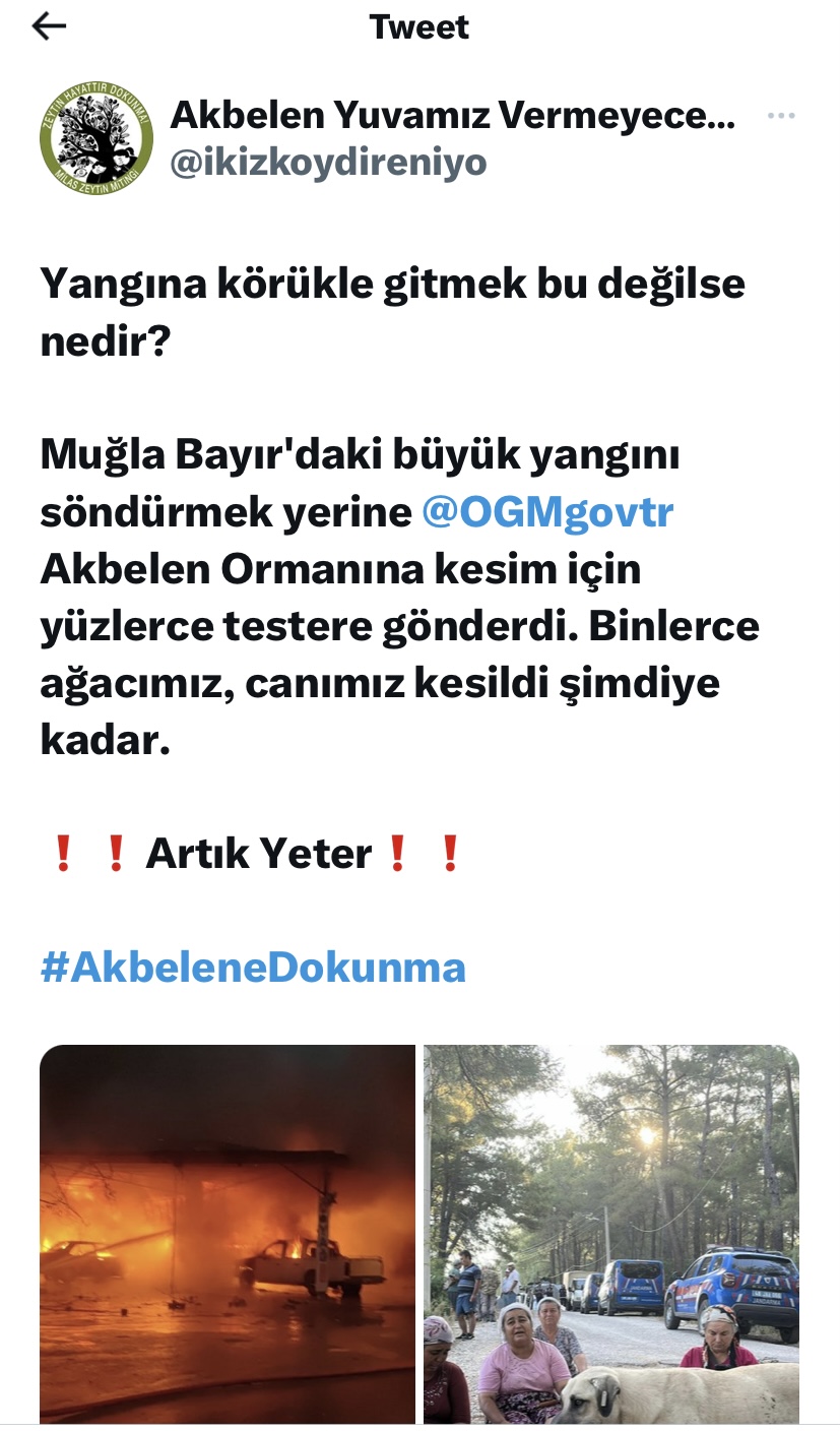 Akbelen’de ağaç katliamı! İMDAT SESLERİ! 