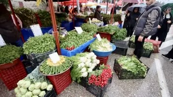 Acı Ot Festivali Yağmura Rağmen Coşkuyla Başladı