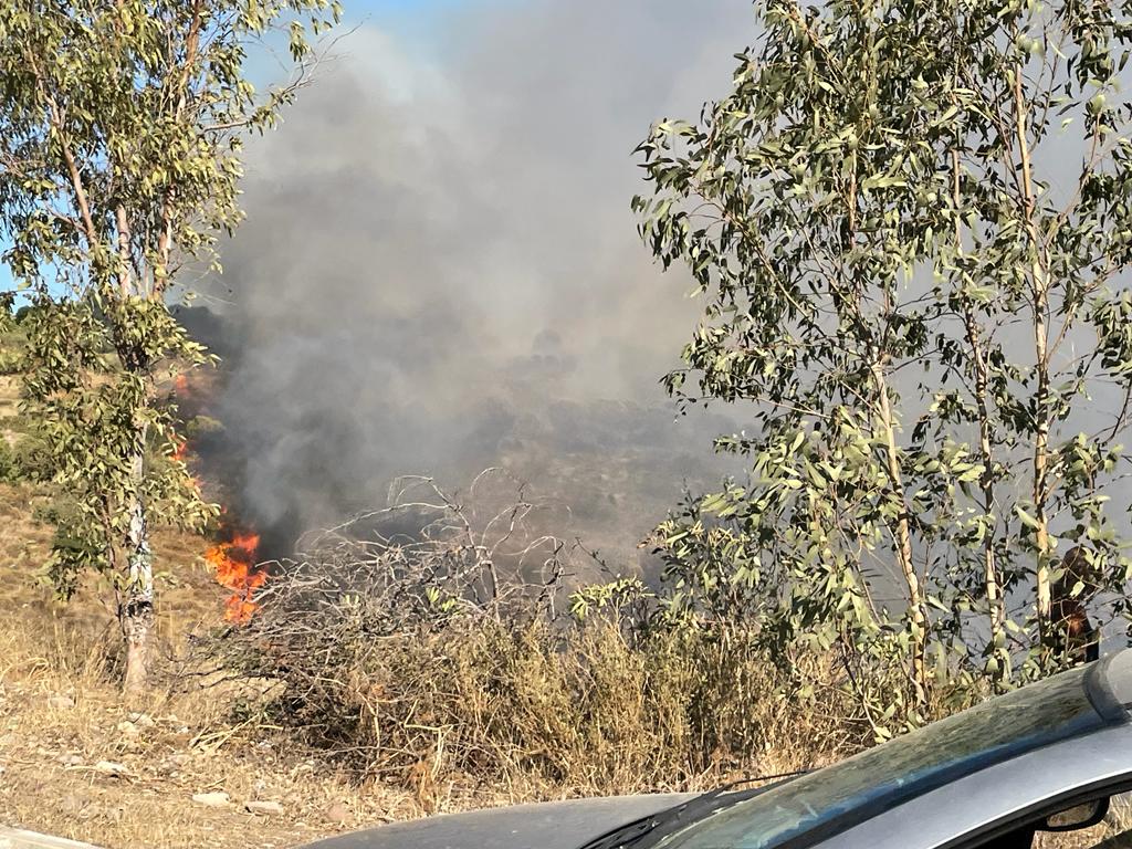 Bitez Aktur yanındaki makilik alanda yangın çıktı