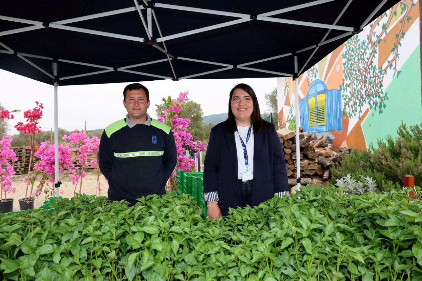 ‘Üreten Bodrum Buluşması’nda üreticilere fide dağıtıldı 