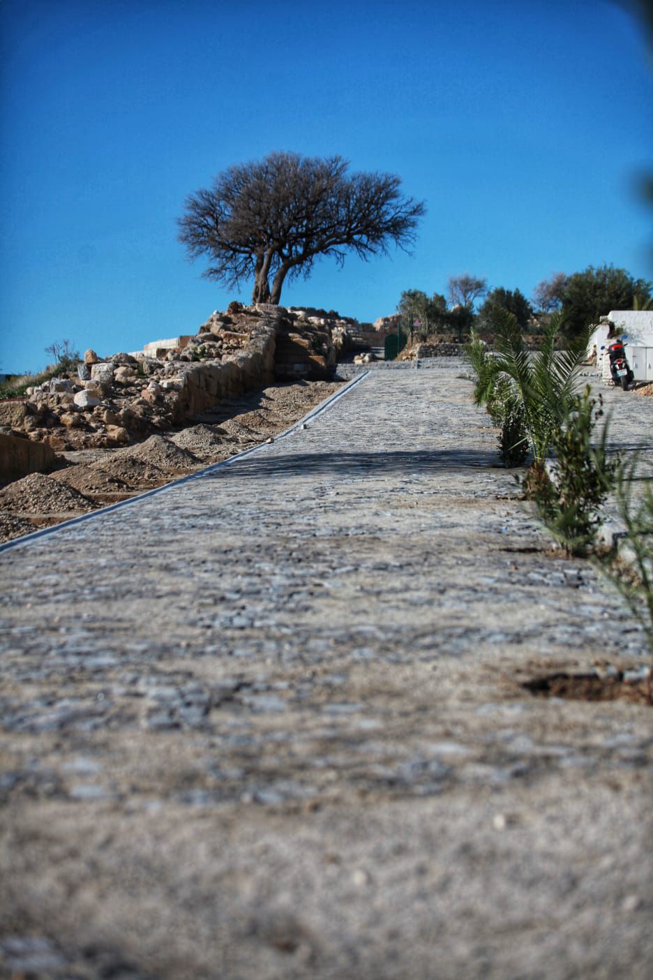 Turizm Haftası, Halikarnassos Surlarından Myndos kapısına yürüyüşle başlayacak