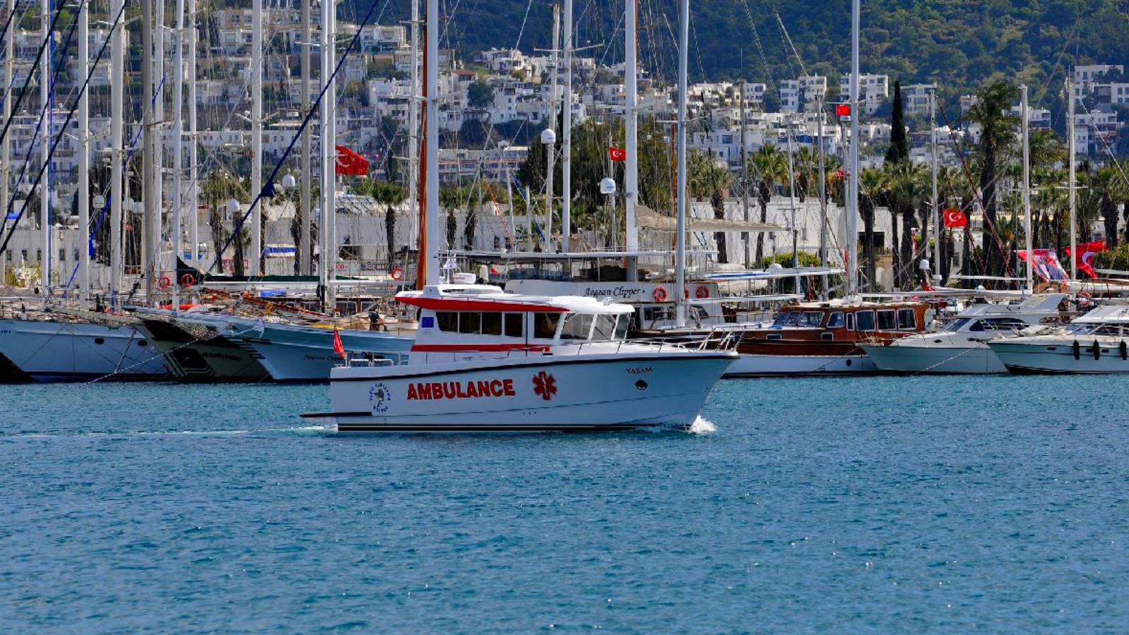 Bodrum’da mavi yolcuktayken arının soktuğu iş insanı, hayatını kaybetti