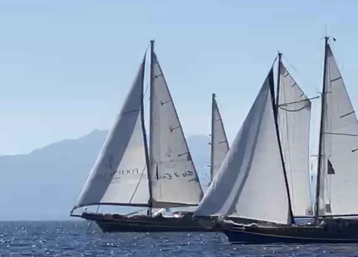 38. The Bodrum Cup başladı! Ancak rüzgarsızlık nedeniyle ilk gün 