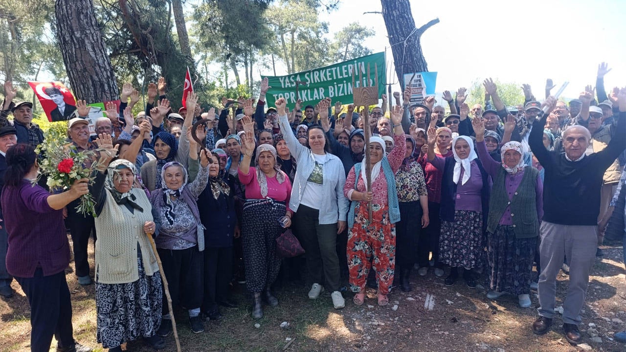 SON DAKİKA! Akbelen’de direniş sonuç verdi: Danıştay’dan yürütmeyi durdurma kararı