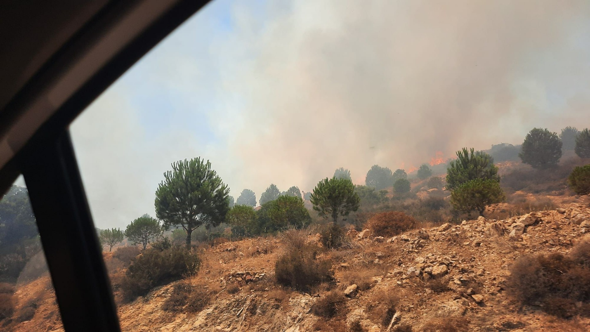 SON DAKİKA! Bodrum Peksimet’te başlayıp yerleşim yerlerini tehdit eden yangın Dereköy’e ilerledi!