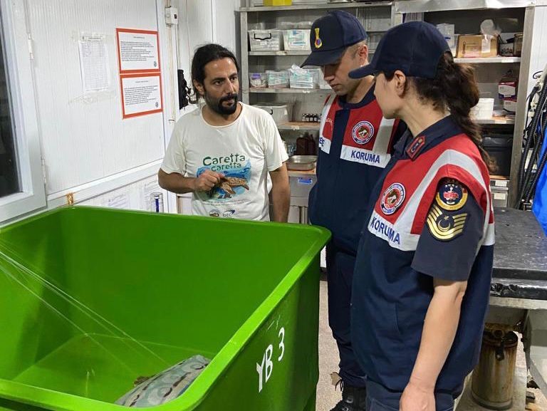 Yaralı Caretta’nın yardımına Jandarma koştu