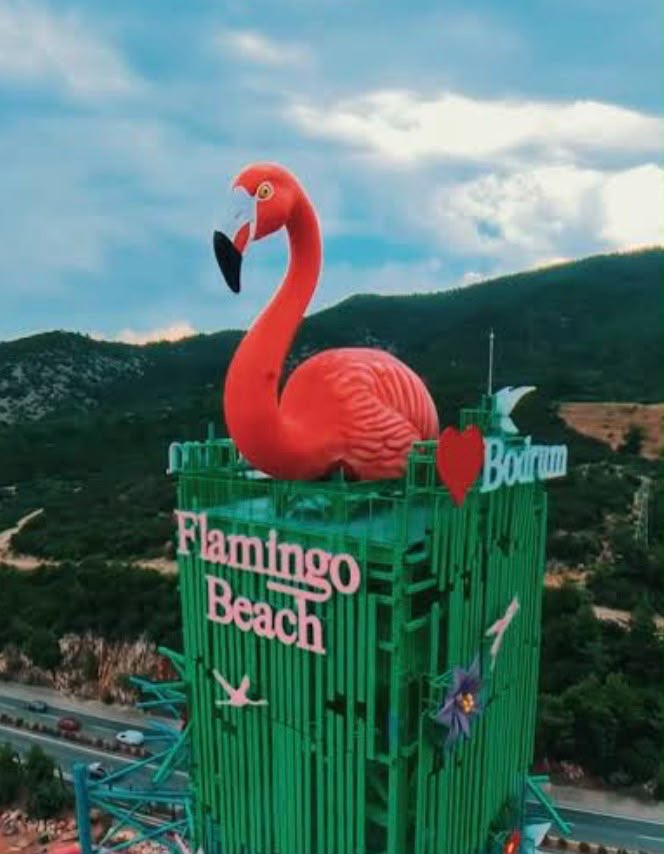 Bodrum Kent Konseyi’nden ‘Flamingo Heykeli’ açıklaması: Hukuki süreç için resmi yanıtlar bekleniyor
