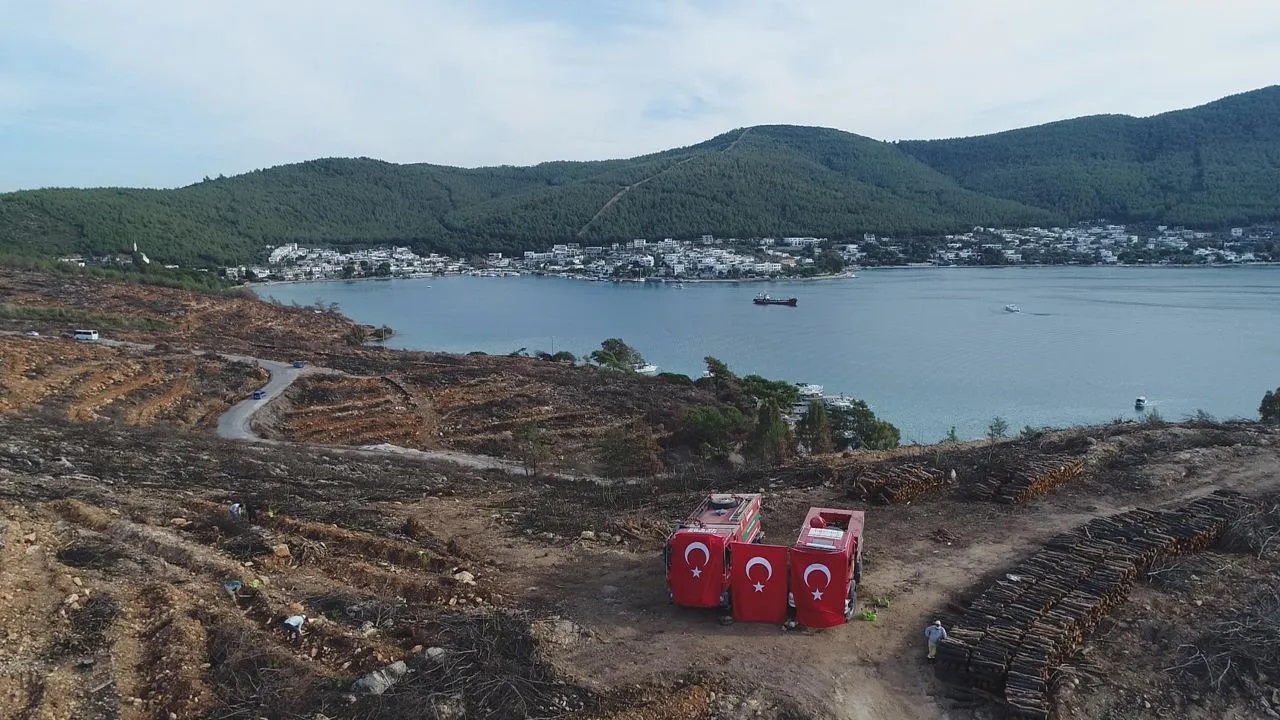 Bodrum'da yanan ormanlar 21 ay sonra yeniden yeşermeye başladı