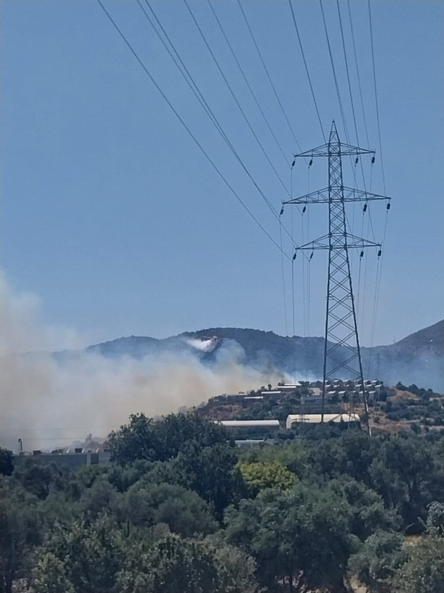 Bodrum Yaka’da çıkan yangın kontrol altına alındı
