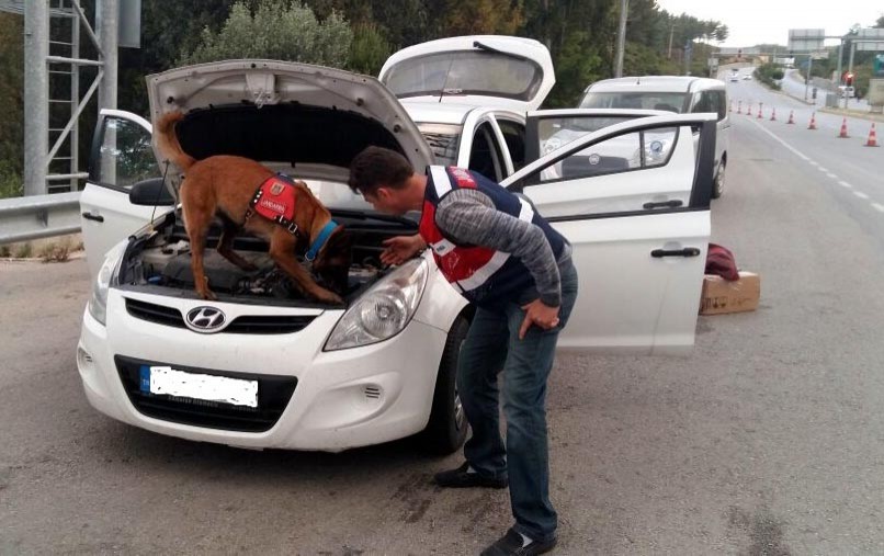 NARKOTİK KÖPEĞİ YAKALADI