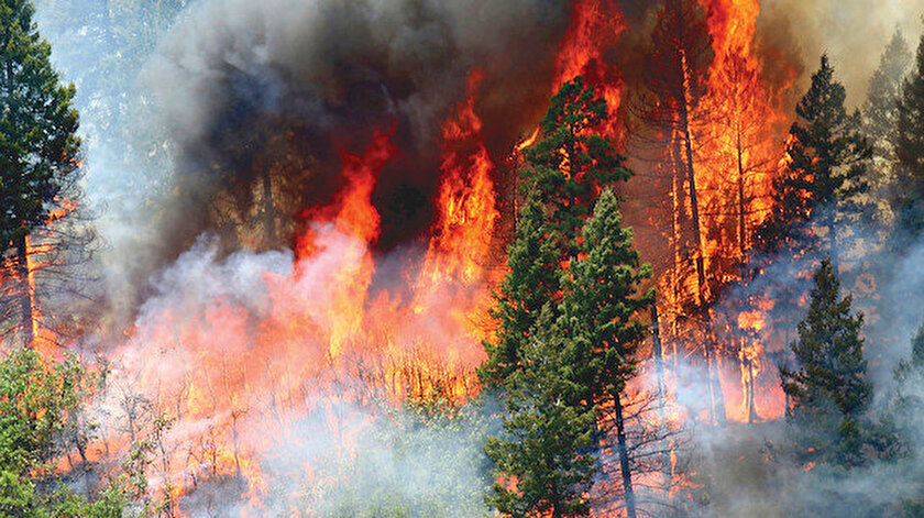 Enerjisa Enerji’den orman yangınlarını önleyecek erken tespit sistemi 