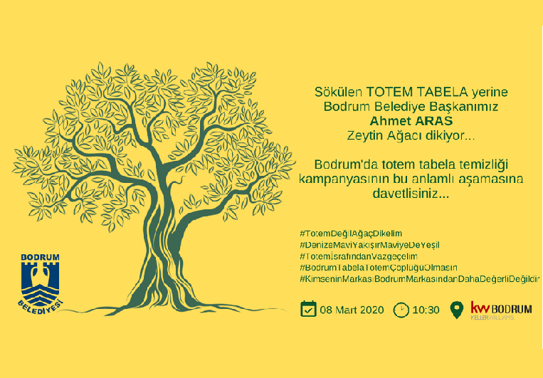 SÖKÜLEN TOTEM TABELA YERİNE ZEYTİN AĞACI DİKİLİYOR