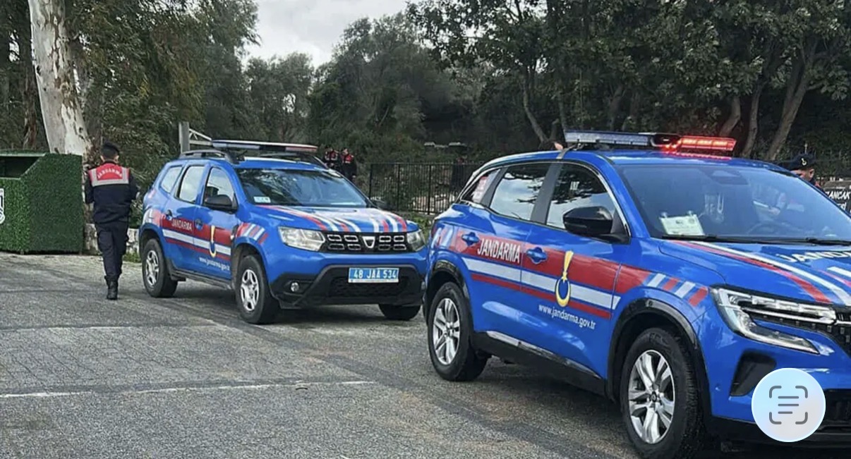 Bodrum'da 2 köpek tüfekle vurularak öldürüldü: 1 gözaltı