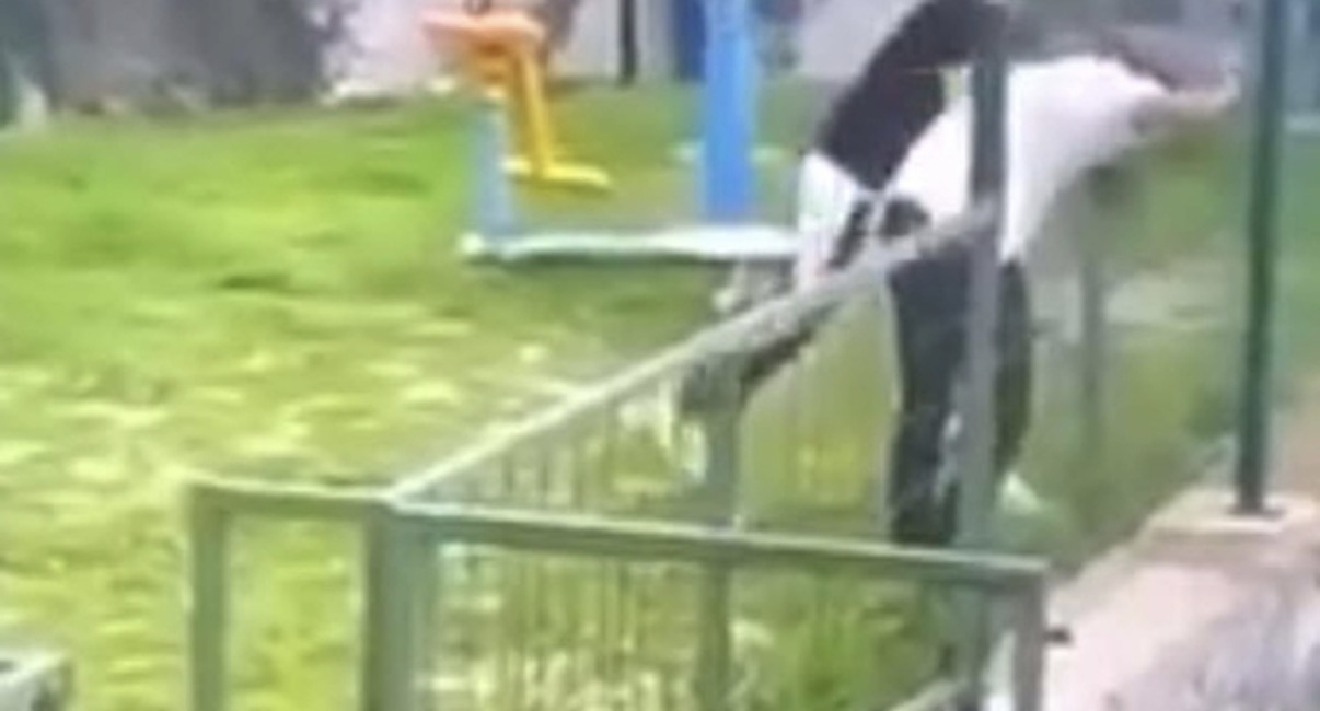 Görüntüler tepki çekmişti: Bodrum’daki akran zorbalığında tutuklama kararı