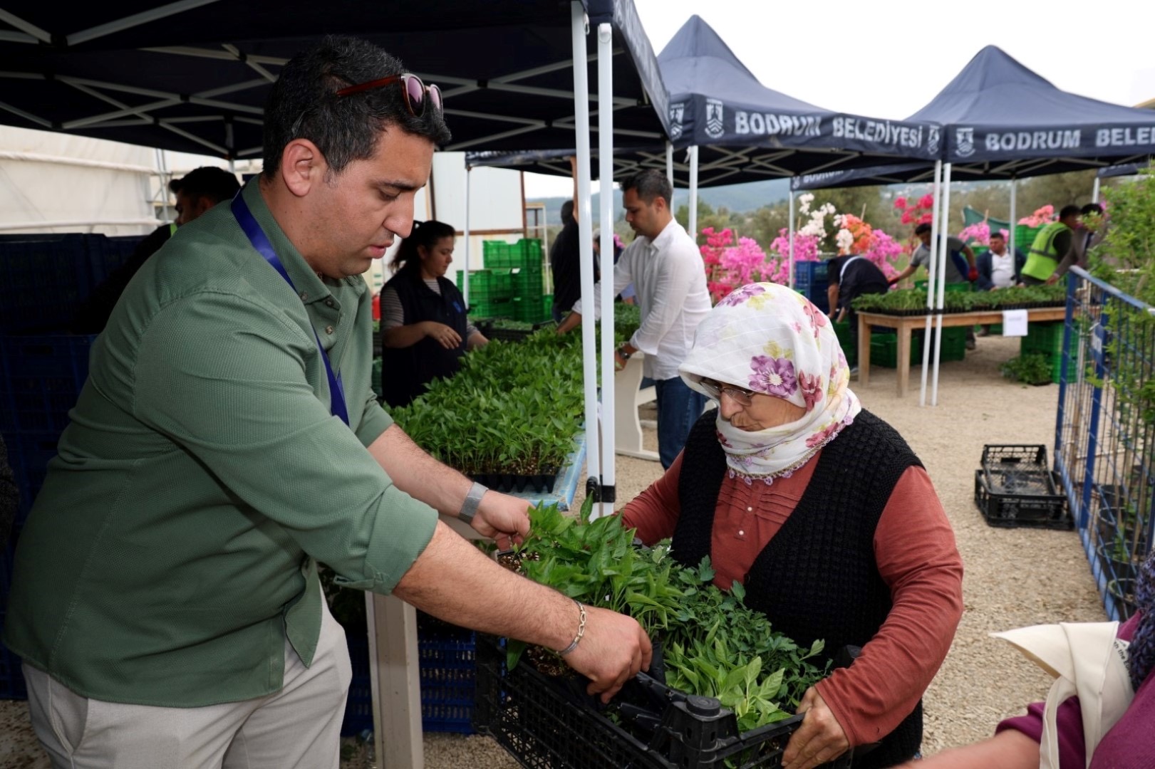 ‘Üreten Bodrum Buluşması’nda üreticilere fide dağıtıldı